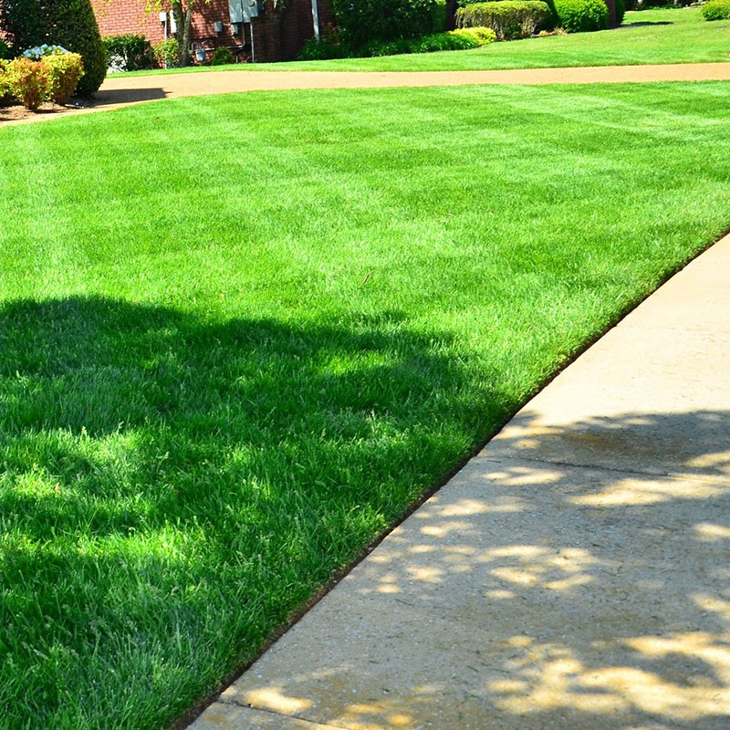 Edge Trimming in Denton County