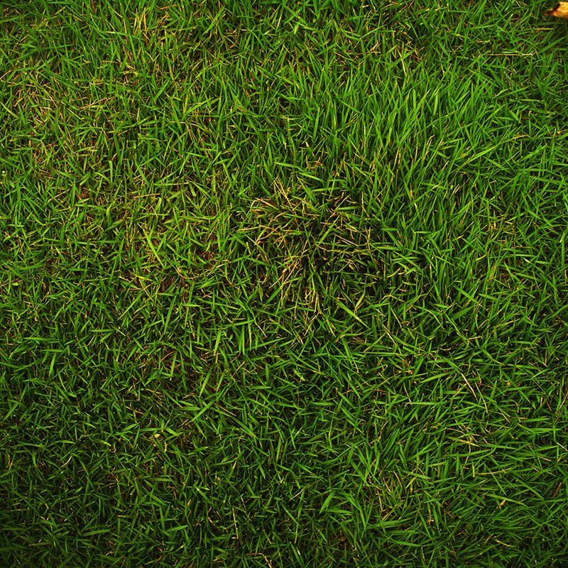 Providing Healthy Lawns in Denton County