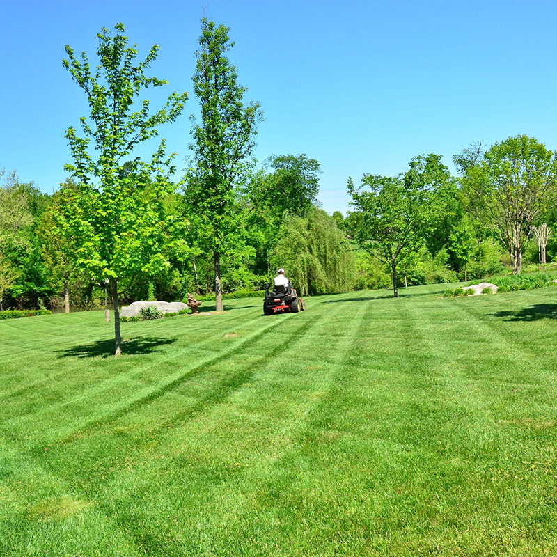 Year-Round Mowing in Lewisville and Denton County